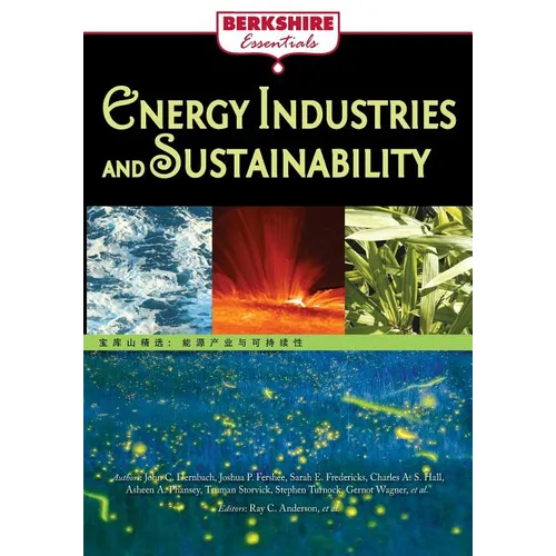 Energy Industries and Sustainability - Paperback