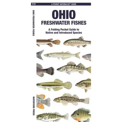 Ohio Freshwater Fishes: A Folding Pocket Guide to Native and Introduced Species