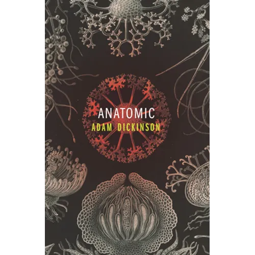 Anatomic - Paperback