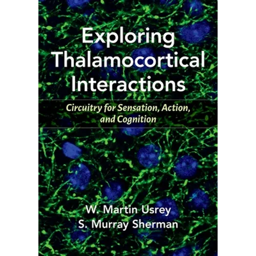 Exploring Thalamocortical Interactions: Circuitry for Sensation, Action, and Cognition - Paperback