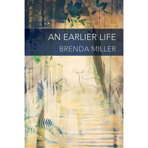 An Earlier Life - Paperback