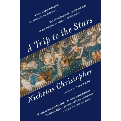 A Trip to the Stars - Paperback