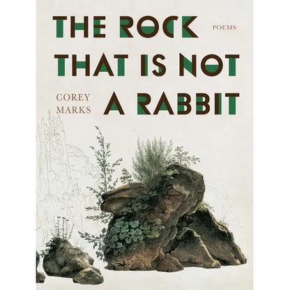 The Rock That Is Not a Rabbit: Poems - Paperback