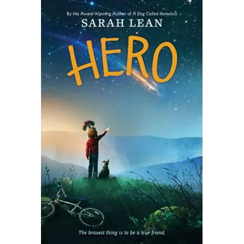 Hero - Hardcover
