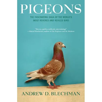 Pigeons: The Fascinating Saga of the World's Most Revered and Reviled Bird - Paperback