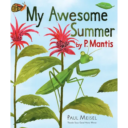 My Awesome Summer by P. Mantis - Paperback