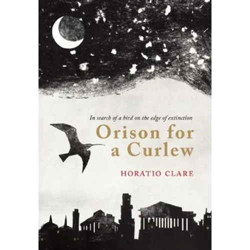 Orison for a Curlew: In Search for a Bird on the Edge of Extinction - Hardcover