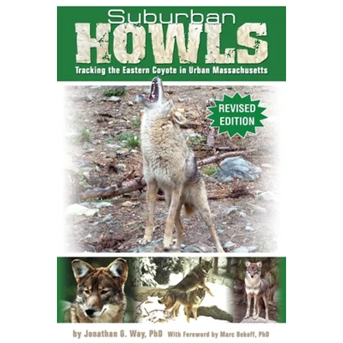 Suburban Howls: Tracking the Eastern Coyote in Urban Massachusetts - Paperback