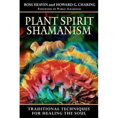 Plant Spirit Shamanism: Traditional Techniques for Healing the Soul - Paperback