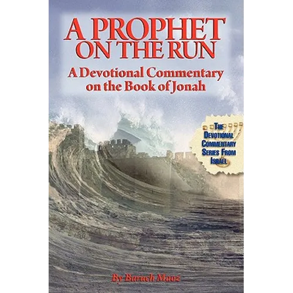 A Prophet on the Run - Paperback