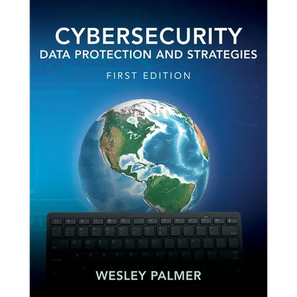 Cybersecurity - Data Protection and Strategies: First Edition - Paperback