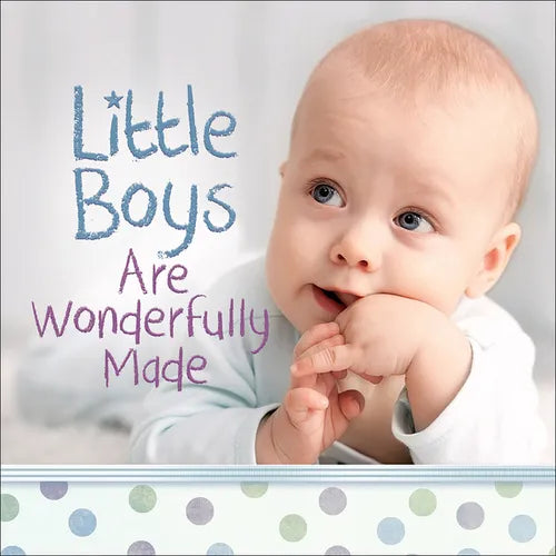 Little Boys Are Wonderfully Made - Hardcover
