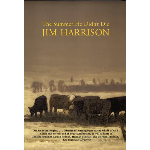 The Summer He Didn't Die - Paperback