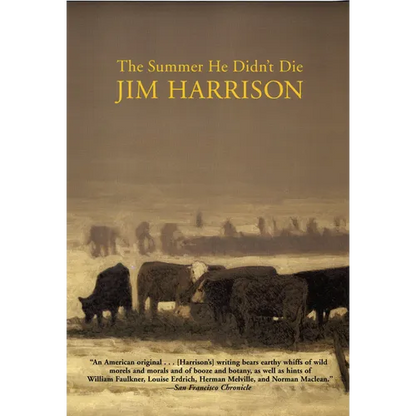 The Summer He Didn't Die - Paperback