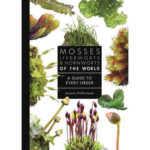 Mosses, Liverworts, and Hornworts of the World: A Guide to Every Order - Hardcover