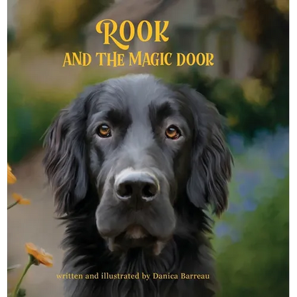 Rook and the Magic Door: Written and Illustrated by Danica Barreau - Hardcover