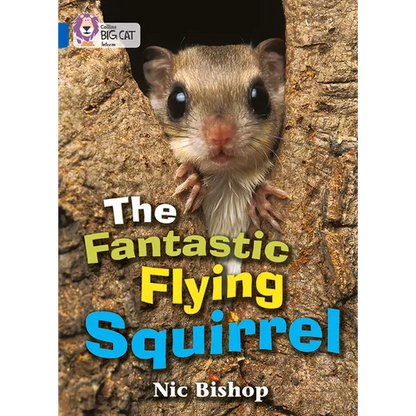 The Fantastic Flying Squirrel: Band 04/Blue - Paperback