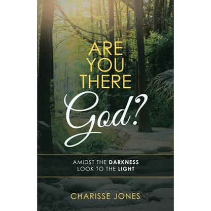 Are You There God?: Amidst the Darkness Look to the Light - Paperback