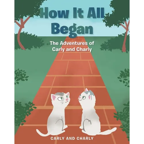 How It All Began - Paperback