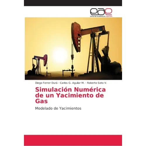Simulación Numérica de un Yacimiento de Gas - Paperback