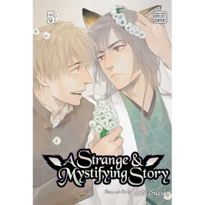 A Strange & Mystifying Story, Vol. 5 - Paperback
