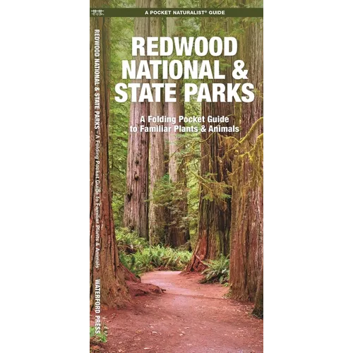 Redwood National and State Parks: An Introduction to Familiar Plants and Animals - Paperback