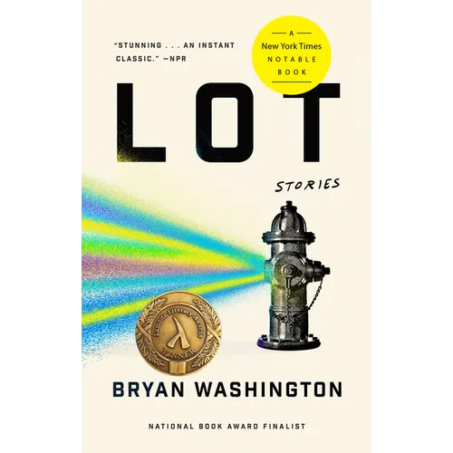 Lot: Lot: Stories - Paperback