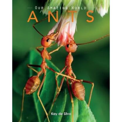 Ants: Amazing Pictures & Fun Facts on Animals in Nature - Paperback