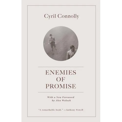 Enemies of Promise - Paperback