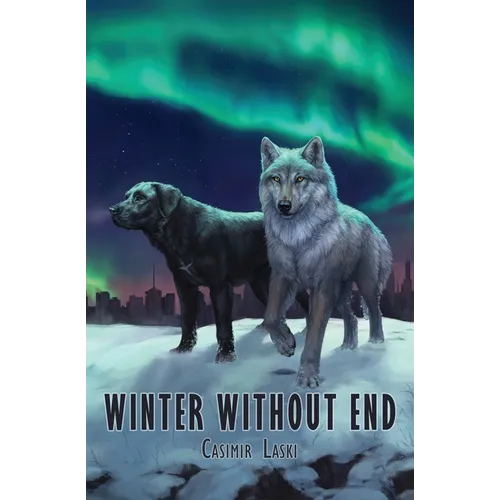 Winter Without End - Paperback