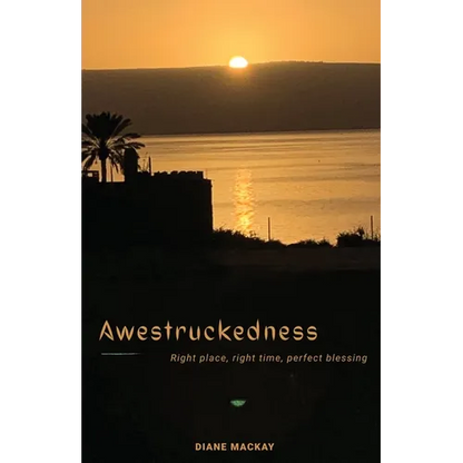 Awestruckedness: Right Place, Right Time, Perfect Blessing - Paperback