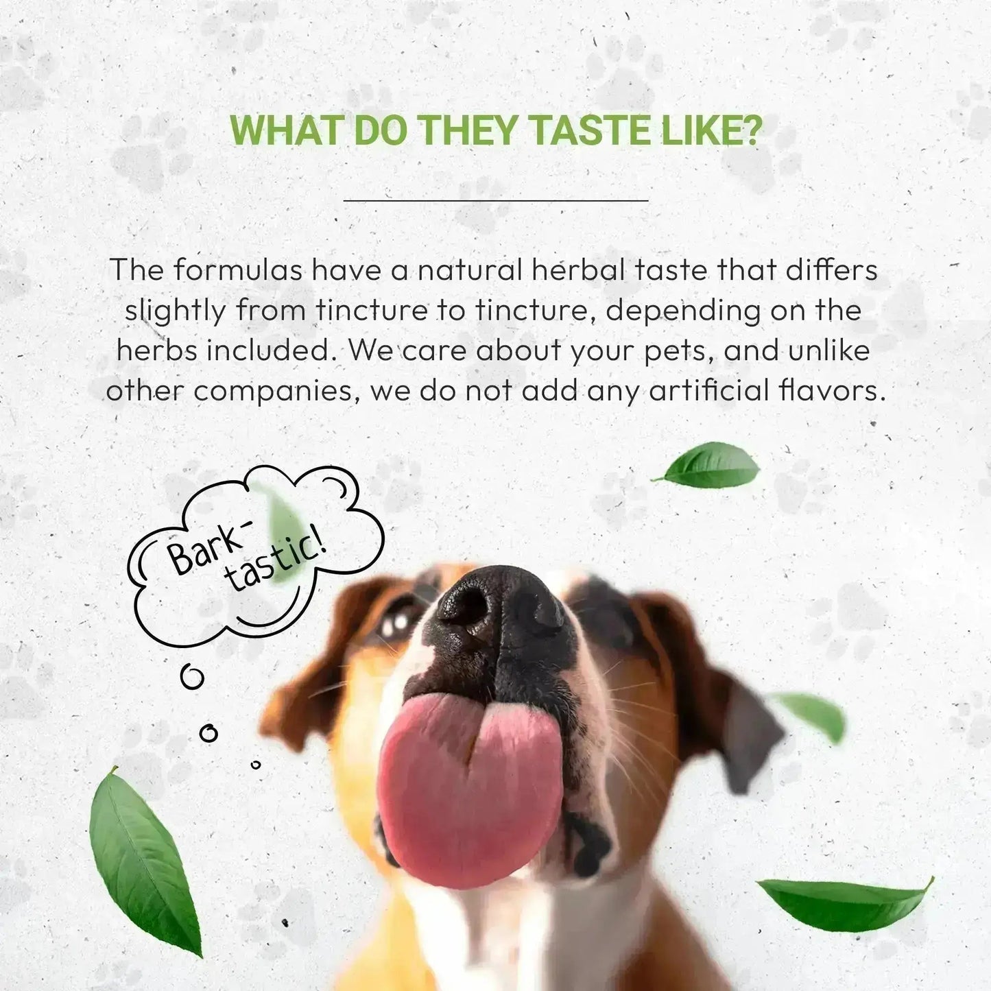 Wolf's Anxiety - Healthy Emotional Balance Support in Dogs