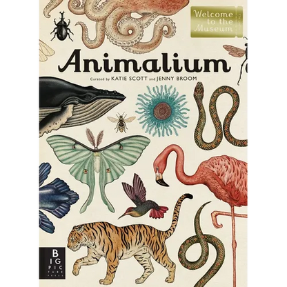 Animalium: Welcome to the Museum - Hardcover