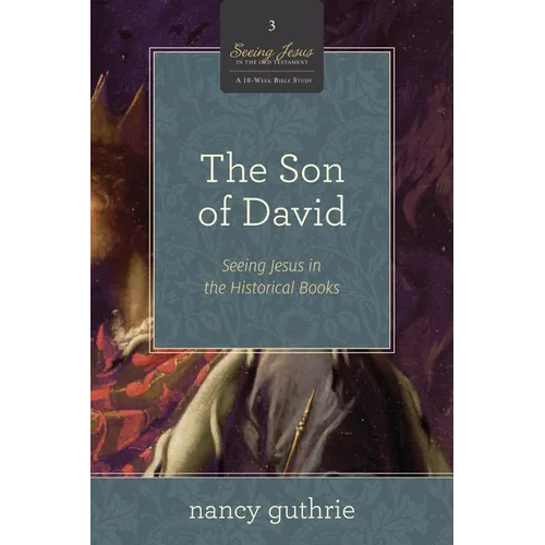 The Son of David: Seeing Jesus in the Historical Books (a 10-Week Bible Study) Volume 3 - Paperback