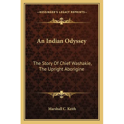 An Indian Odyssey: The Story Of Chief Washakie, The Upright Aborigine - Paperback