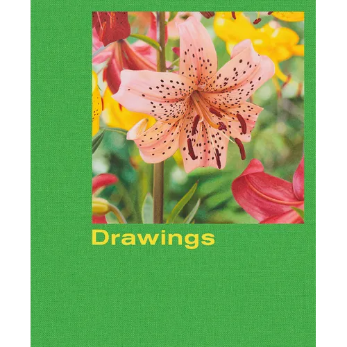 Mathew Cerletty: Drawings - Hardcover
