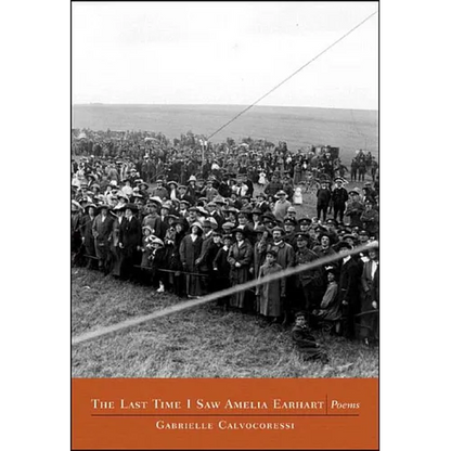 The Last Time I Saw Amelia Earhart: Poems - Paperback
