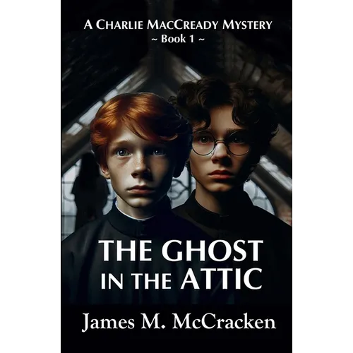 The Ghost in the Attic - Paperback