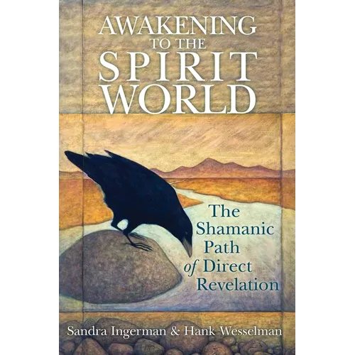 Awakening to the Spirit World: The Shamanic Path of Direct Revelation - Paperback