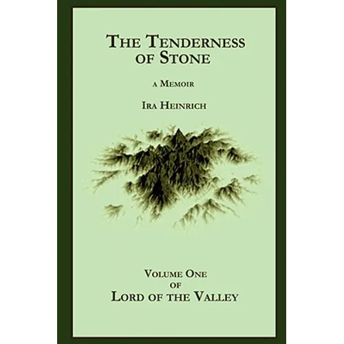 The Tenderness of Stone - Paperback