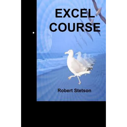 Excel Course - Paperback