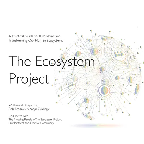 The Ecosystem Project: A Practical Guide to Illuminating and Transforming Our Human Ecosystems - Paperback