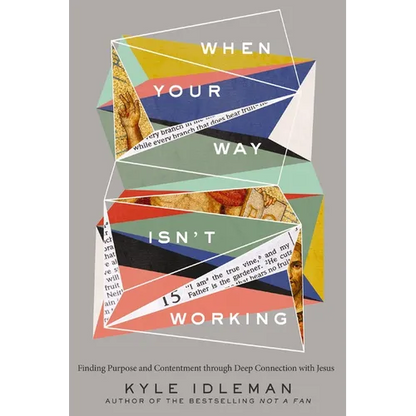 When Your Way Isn't Working: Finding Purpose and Contentment Through Deep Connection with Jesus - Hardcover