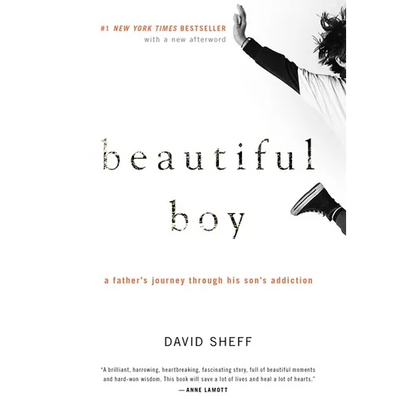 Beautiful Boy: A Father's Journey Through His Son's Addiction - Paperback