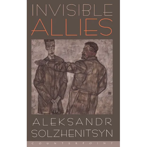 Invisible Allies - Paperback