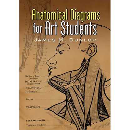 Anatomical Diagrams for Art Students - Paperback