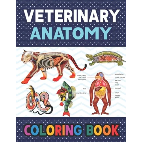 Veterinary Anatomy Coloring Book: Learn The Veterinary Anatomy With Fun & Easy. Animal Anatomy and Veterinary Physiology Coloring Book. Dog Cat Horse - Paperback