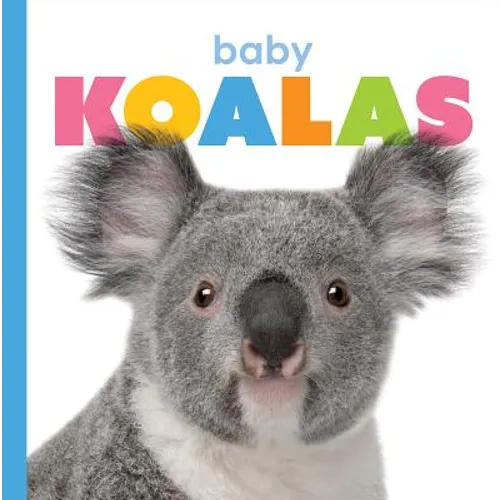 Baby Koalas - Paperback