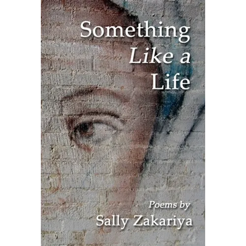 Something Like a Life - Paperback