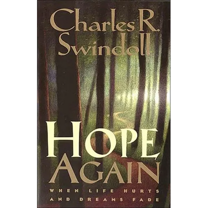 The Hope Again: When Life Hurts and Dreams Fade - Paperback
